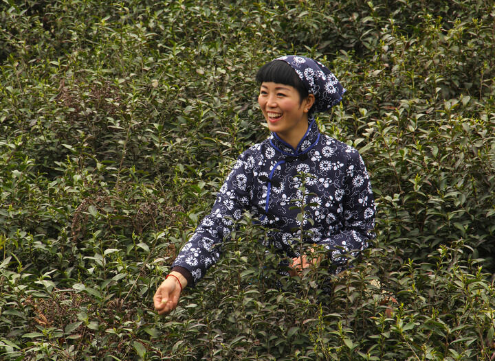 152网主 地下酒吧